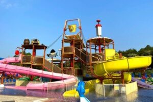 Duni Royal Belleville