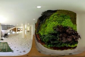 Slunečné Pobřeží